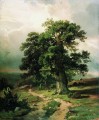 oak 1865 classical landscape Ivan Ivanovich